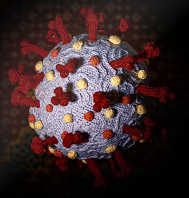 Knitted Coronovirus